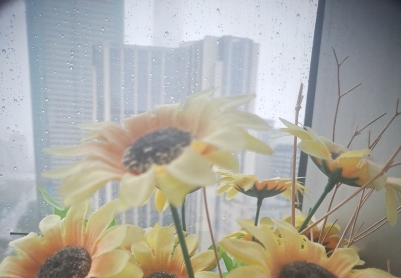 测试App用手机拍照发图