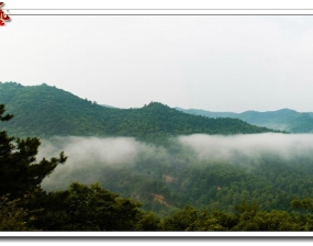 陕西黄陵国家森林公园