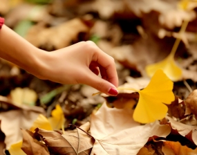 秋.喜 - 品茗老师摄影作品一组