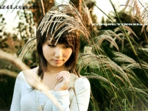 新来，发一贴试试，呵呵