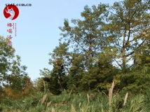 我的宝儿我的天..