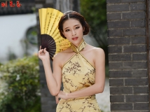 2014年7月6日 旗袍秀- 金燕 (2/2)