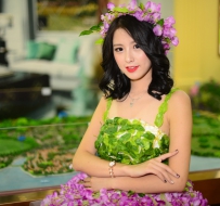 2016年 深圳汽車博覽會 壁紙 2