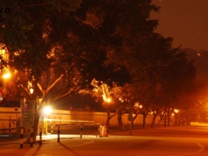 2009年元宵节夜拍