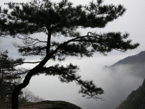 我美丽的家乡－庐山