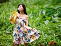 6.5 洪湖-----依依